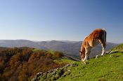 Le pays Basque